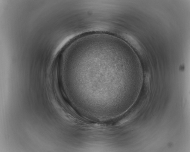 X0000092110676200709191328