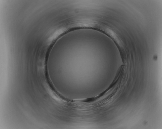 X0000092110677200709191328