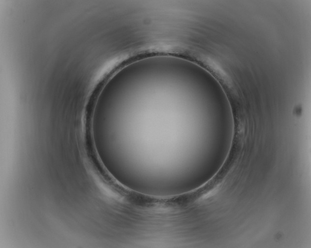 X0000092110678200709191328