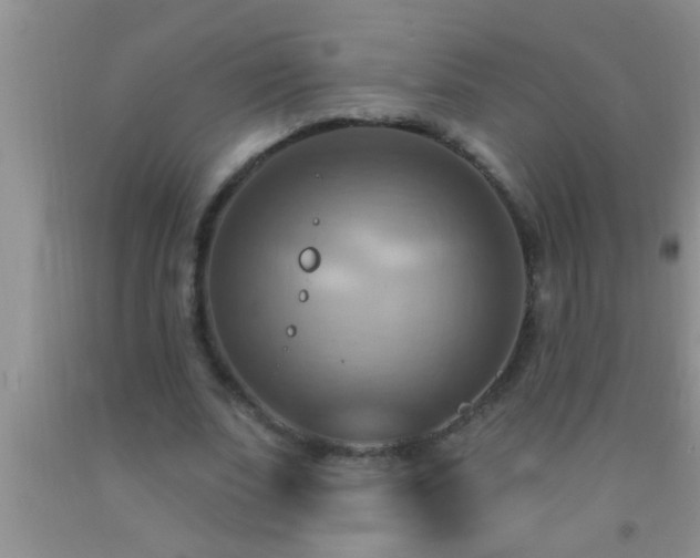 X0000092110679200709191328