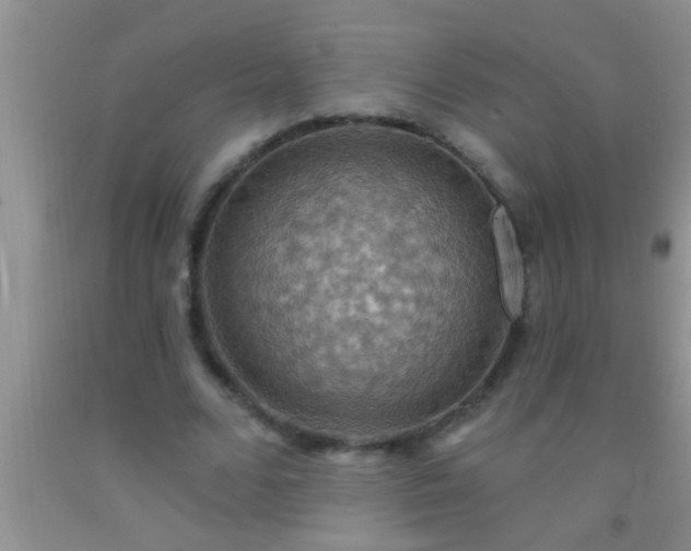 X0000092110680200709191328