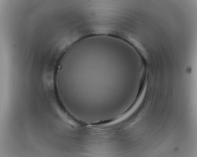 X0000092110681200709191328