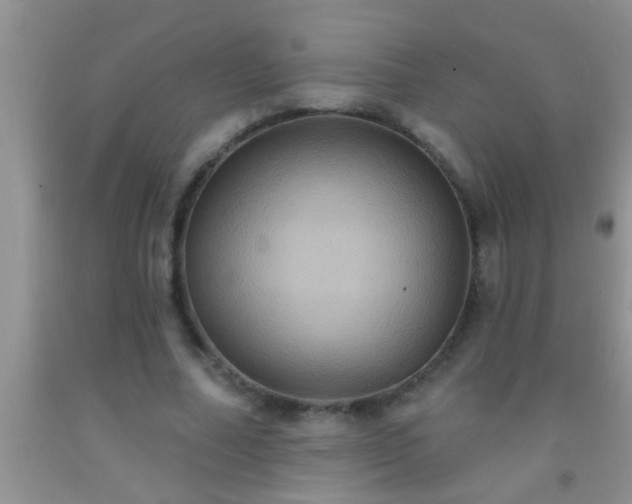 X0000092110682200709191328