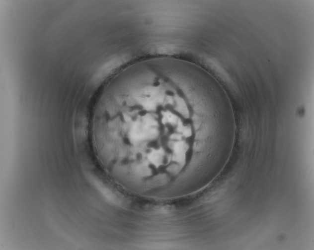 X0000092110683200709191328