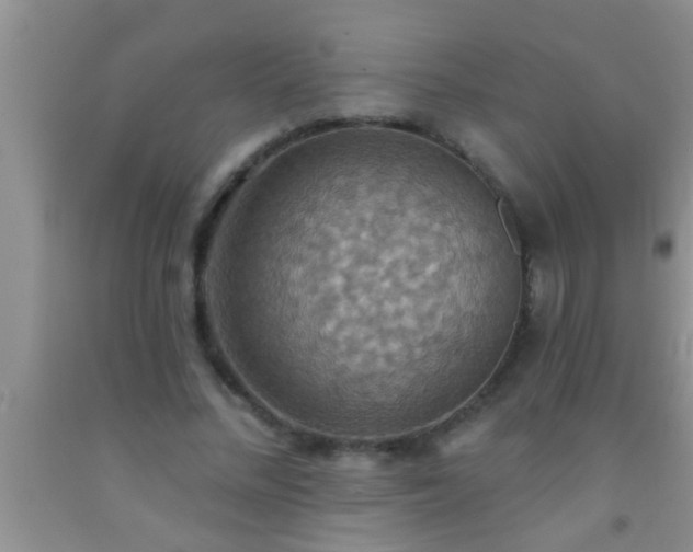 X0000092110684200709191328