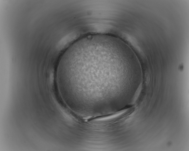 X0000092110685200709191328