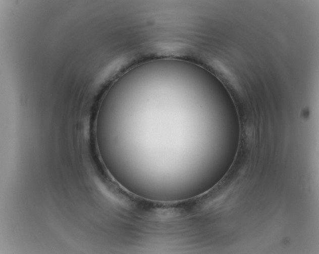 X0000092110686200709191328