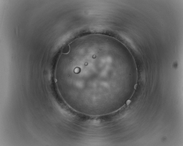 X0000092110687200709191328