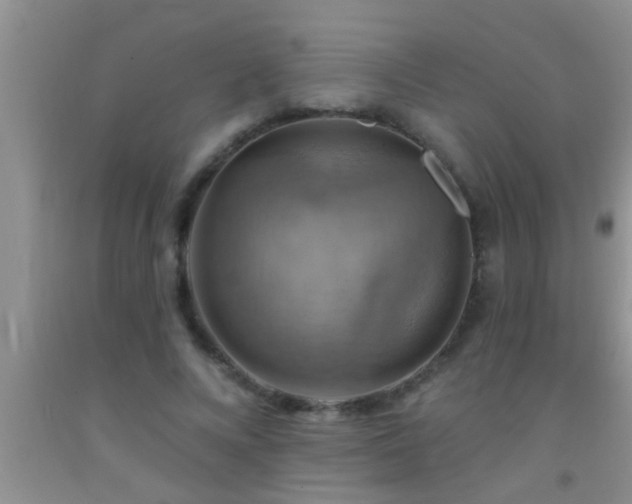 X0000092110688200709191328