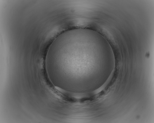 X0000092110689200709191328