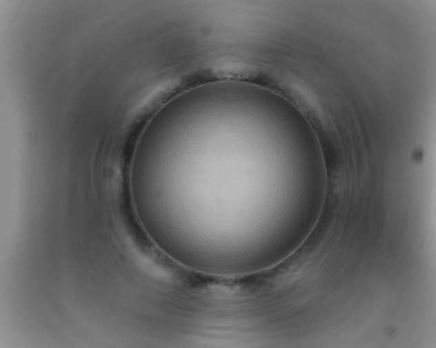 X0000092110690200709191328