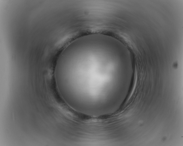 X0000092110691200709191328