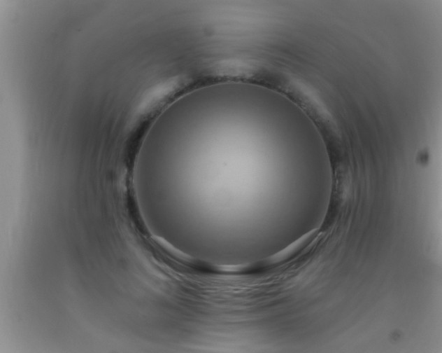 X0000092110692200709191328