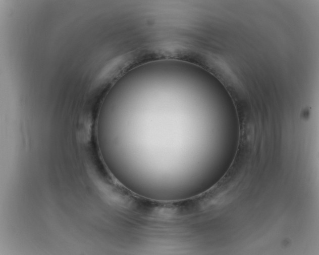 X0000092110694200709191328