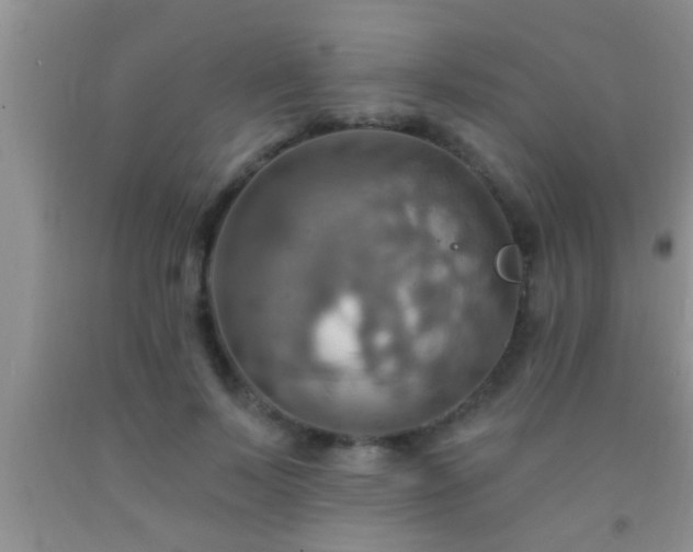 X0000092110695200709191328