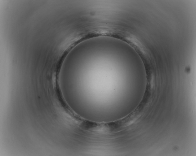 X0000092110696200709191328