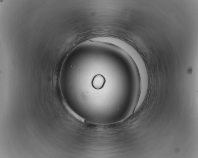 X0000092110697200709191328