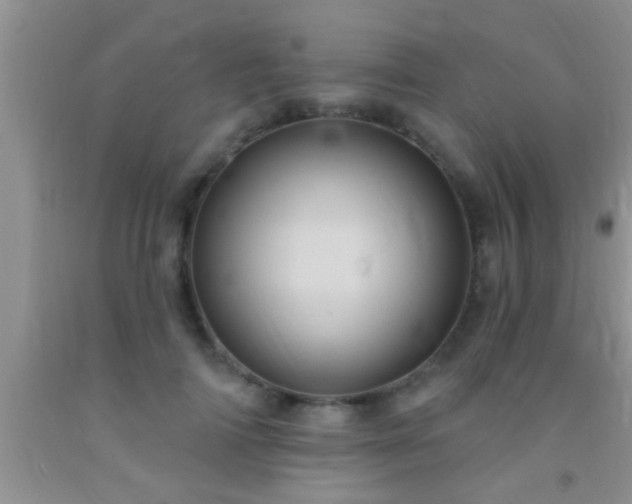 X0000092110698200709191328