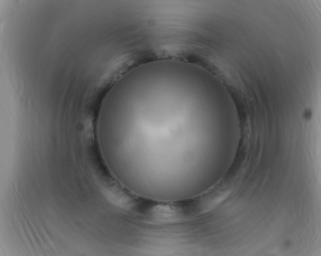 X0000092110699200709191328