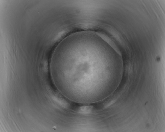 X0000092110700200709191328