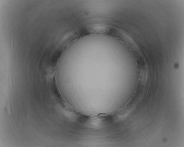 X0000092110701200709191328