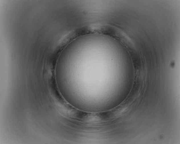 X0000092110702200709191328