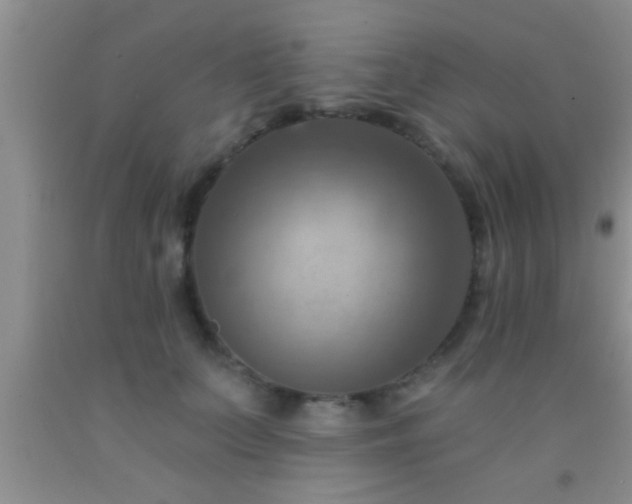 X0000092110703200709191328