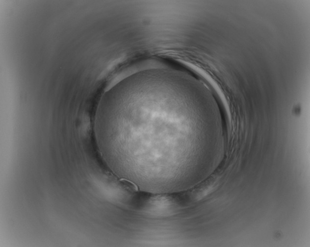 X0000092110704200709191328