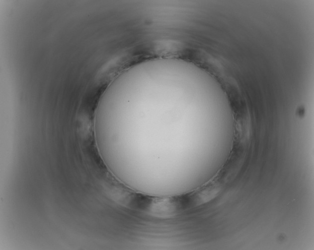 X0000092110705200709191328