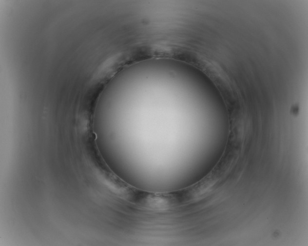 X0000092110706200709191328