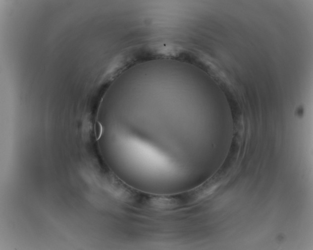 X0000092110707200709191328