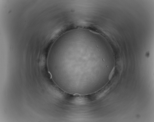 X0000092110708200709191328