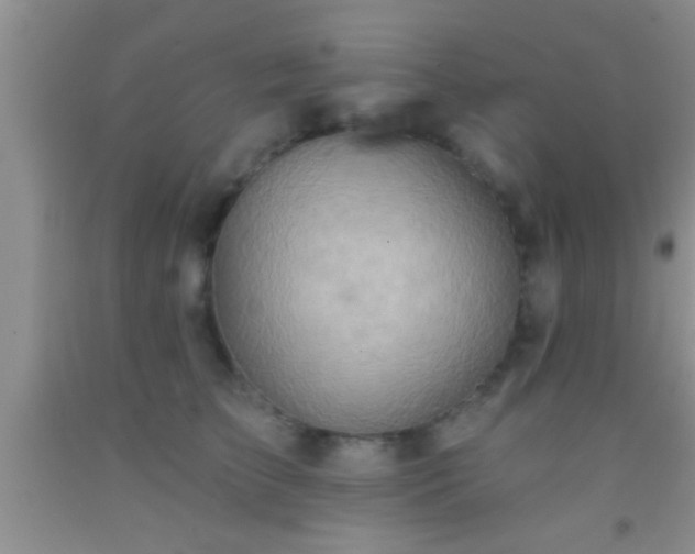 X0000092110709200709191328