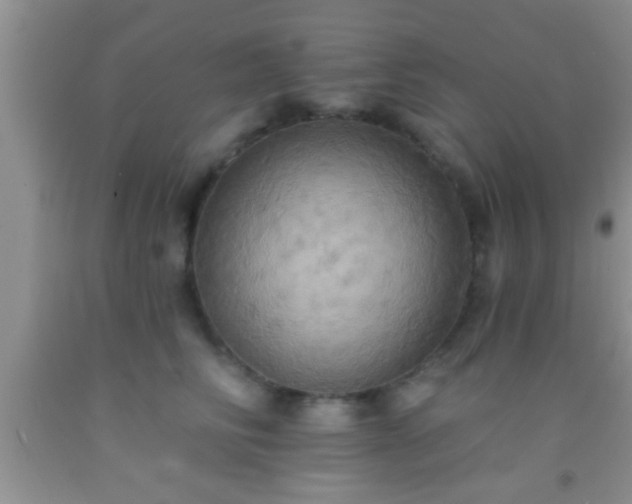 X0000092110710200709191328