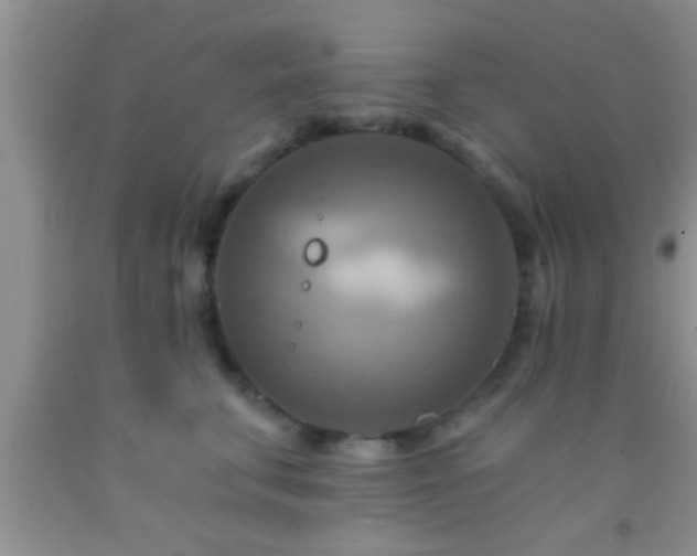 X0000092110711200709191328