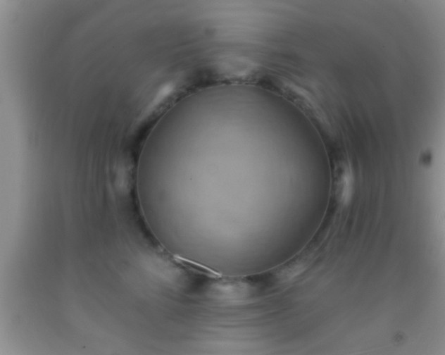 X0000092110712200709191328