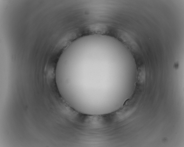 X0000092110713200709191328