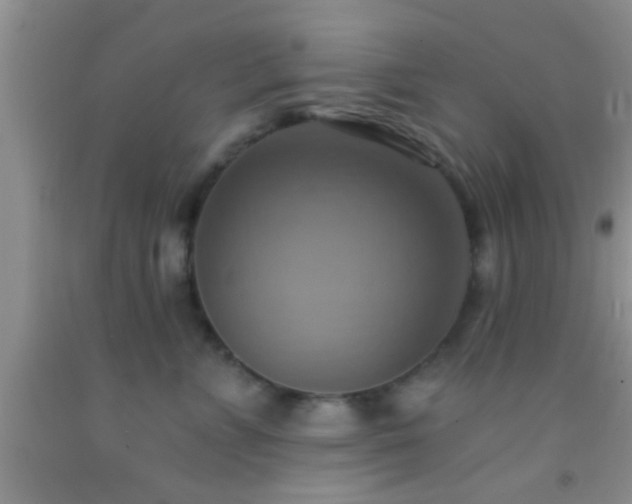 X0000092110715200709191328