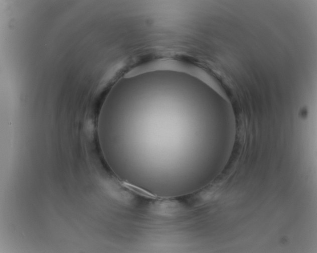 X0000092110716200709191328