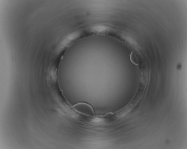 X0000092110718200709191328