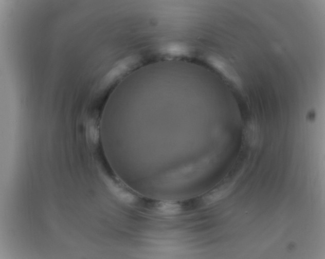 X0000092110719200709191328