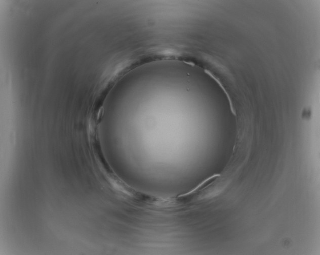 X0000092110720200709191328