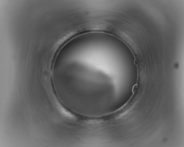 X0000092110721200709191327