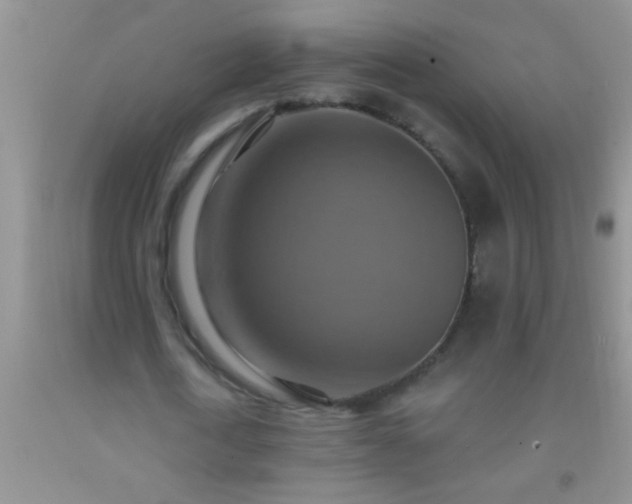 X0000092110722200709191327