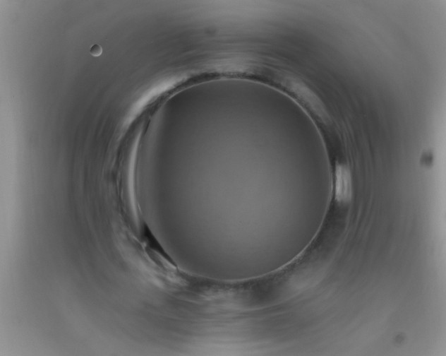 X0000092110723200709191327