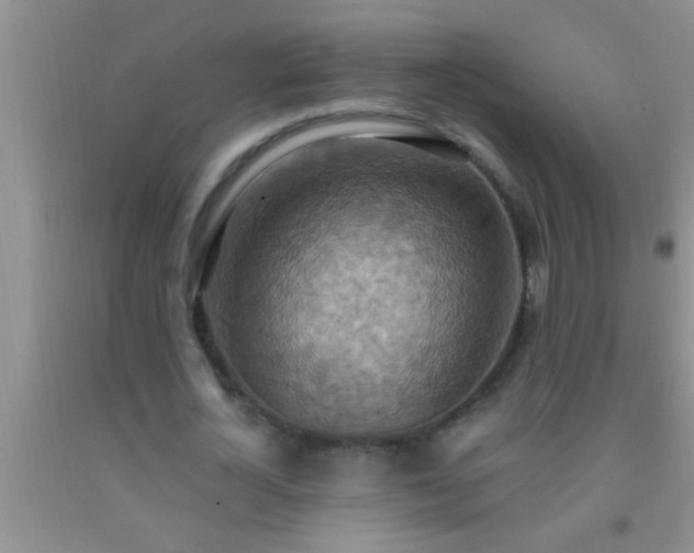 X0000092110724200709191327