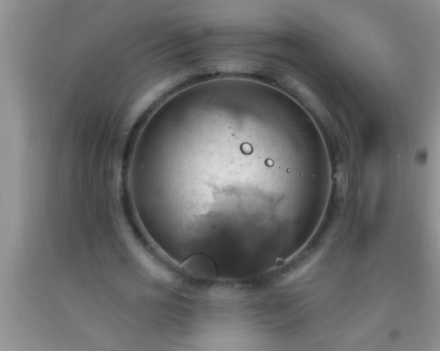 X0000092110725200709191327