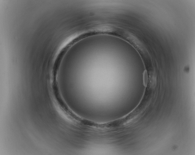 X0000092110726200709191327