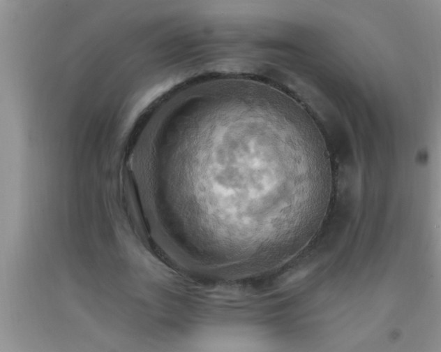 X0000092110727200709191327