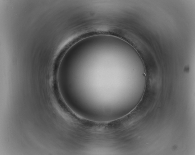 X0000092110728200709191327